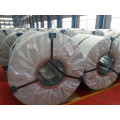 Painting Color PPGI /PPGI Steel Coil /PPGI Coil From China Facotory